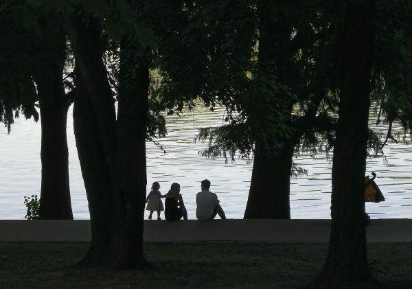 Primăria Capitalei anunţă că marţi începe golirea Lacului Herăstrău